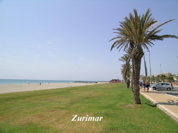 Playa