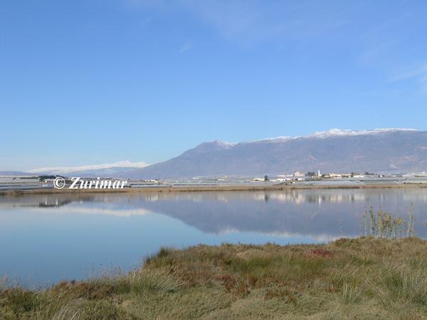Sabinar