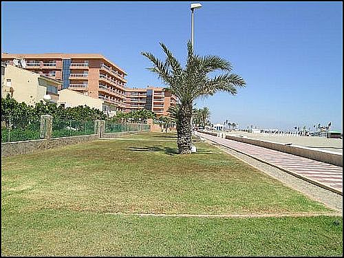 Playa alquiler